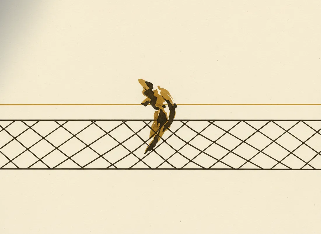 A safety net stretched beneath a tightrope walker